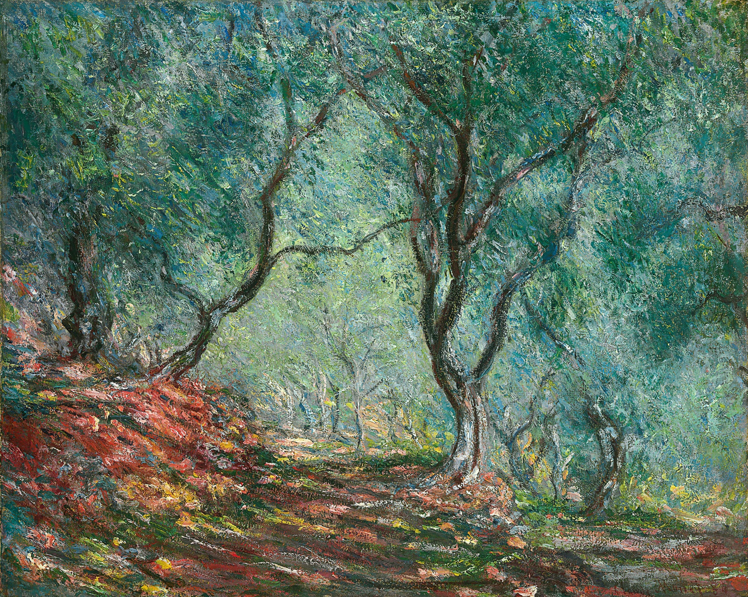Olive Tree Wood in the Moreno Garden, Claude Monet