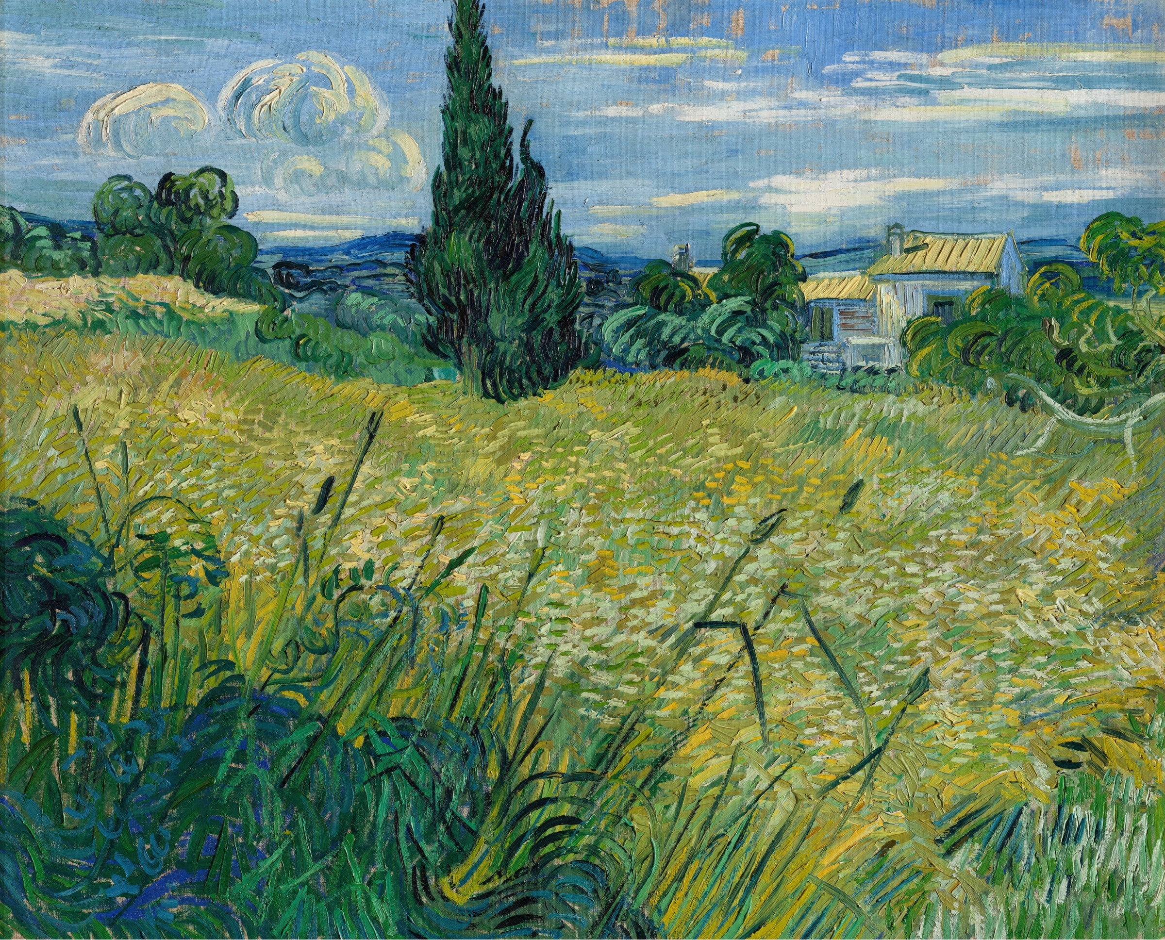 Green Wheat Field with Cypress, Vincent van Gogh