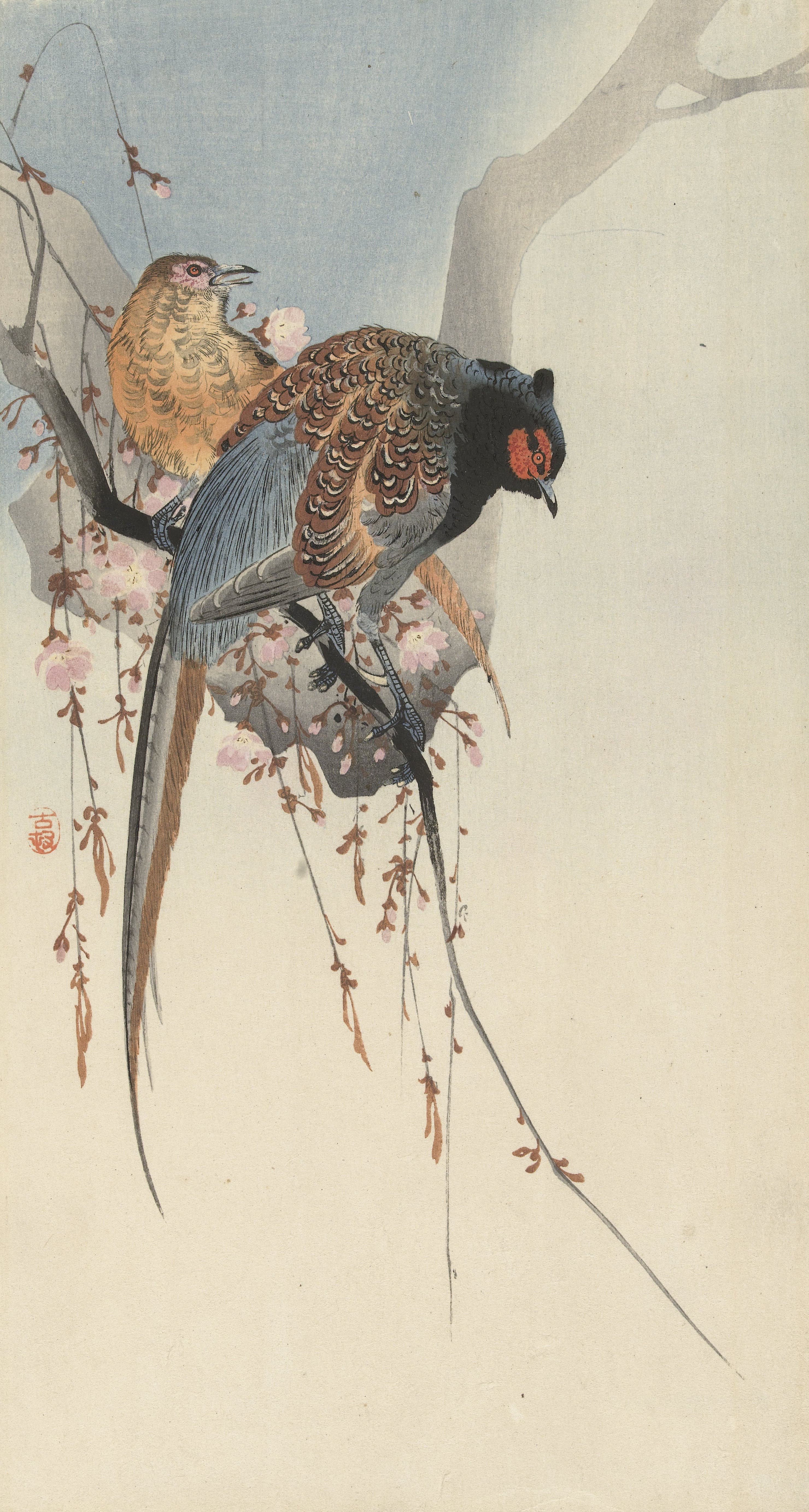 Pheasant Couple and Plum Blossom, Ohara Koson